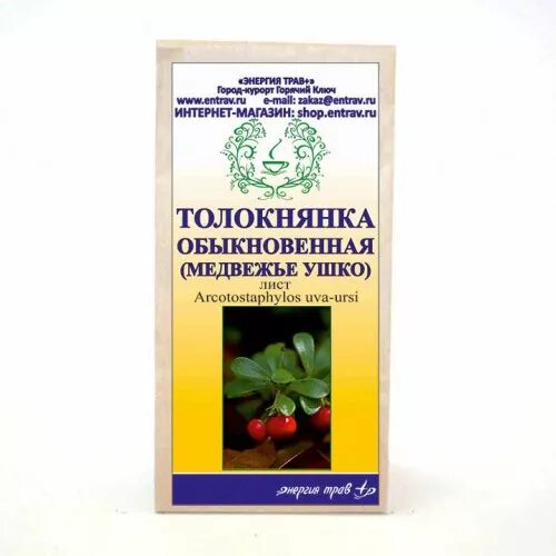 Медвежьи ушки от чего. Отвар толокнянки Медвежьи ушки. Медвежьи ушки микстура. Медвежьи ушки и толокнянка таблетки. Толокнянка обыкновенная.