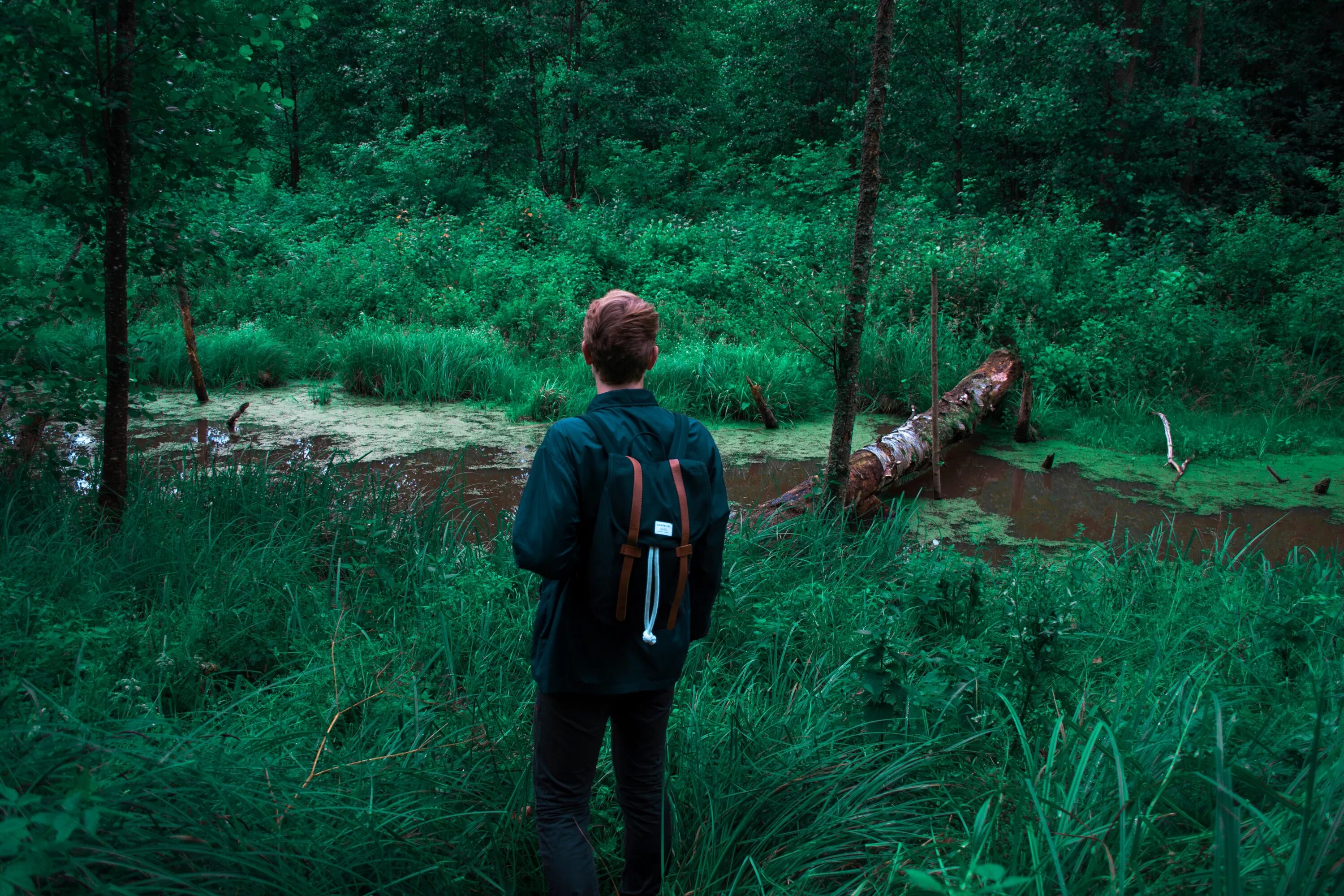 Фотосессия в лесу в белом платье. Forest calling. Forest calling. Forest calling. Forest calling.
