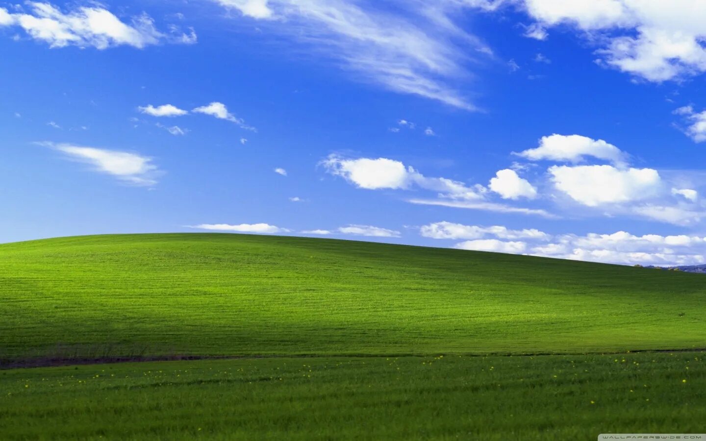 Два xp