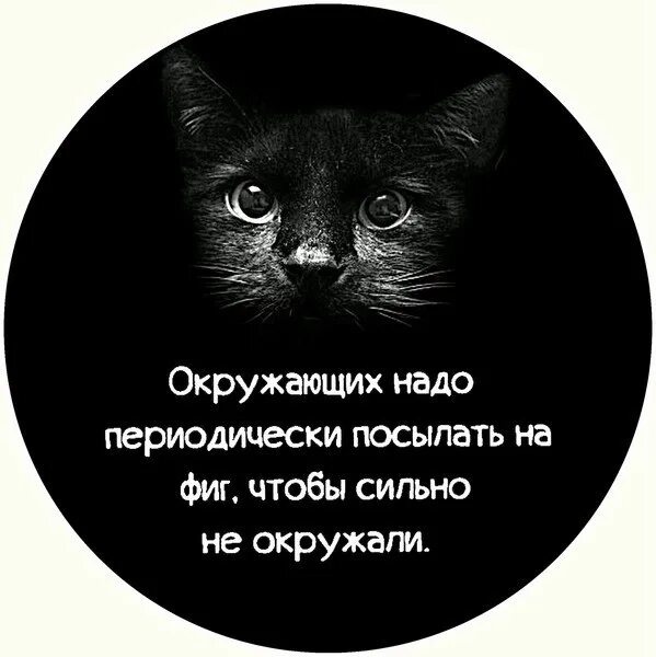 Когда окружающие сильно окружают. Окружающих надо периодически посылать. Окружающих нужно периодически пугать чтобы сильно не окружали. Окружающих надо периодически пугать чтобы сильно. Окружающих нужно периодически.