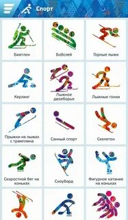 Соотношение видов спорта