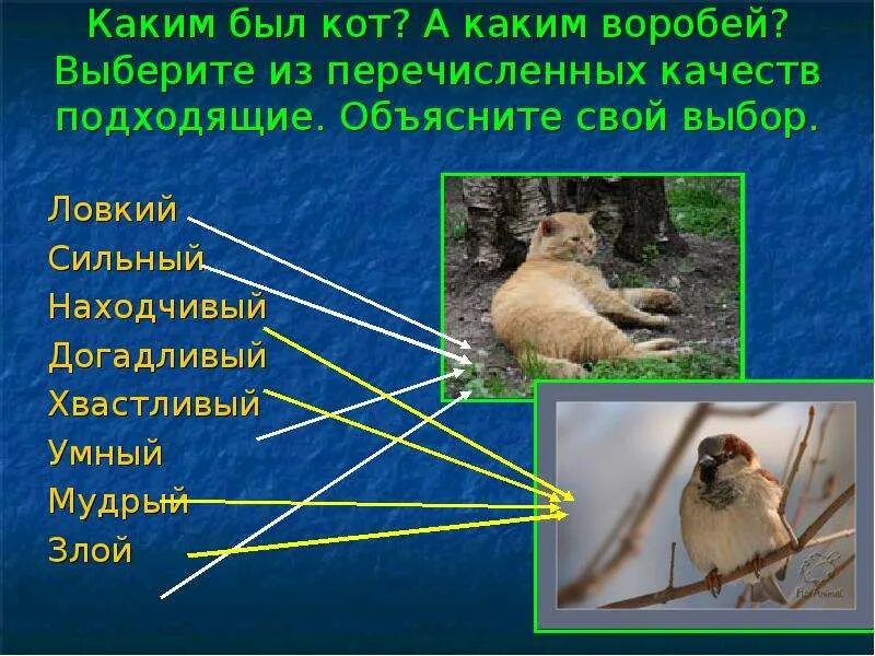 Воробей подобрать прилагательное. Воробьи какие прилагательные. Воробей какой прилагательное. Воробей какой прилагательные для детей. Воробей какой прилагательное 3 класс.