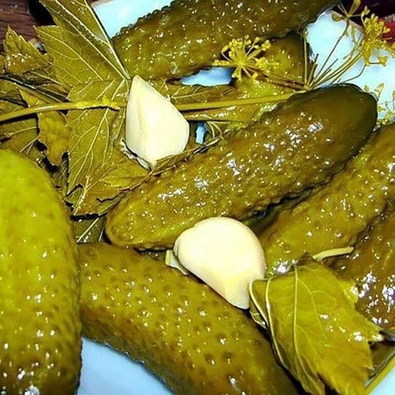 Солёный огурец один. Бочковые огурцы. Соленые мамой огурцы. Соленые мамой огурцы. Тарелки сверху огурцы.