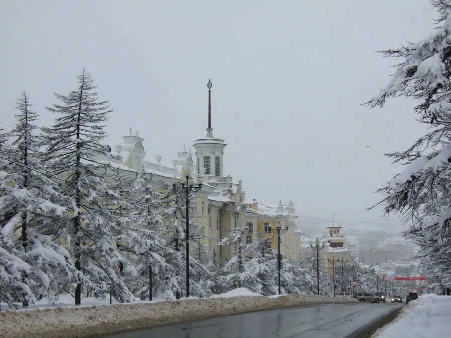 Погода снежный магадан. Магадан деревья в снегу. Погода снежный магадан. Магадан зима. Погода снежный магадан.
