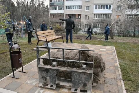 46 власиха