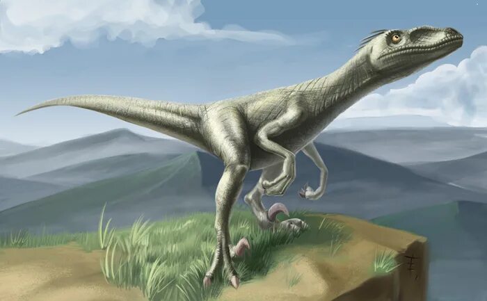 Прямоходящие динозавры. Динозавры похожие на раптора. Динозавры ортодонты. Синозавроптерикс динозавр. Ящер сканворд