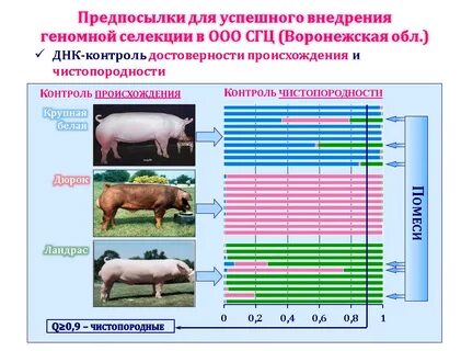 Половая селекция