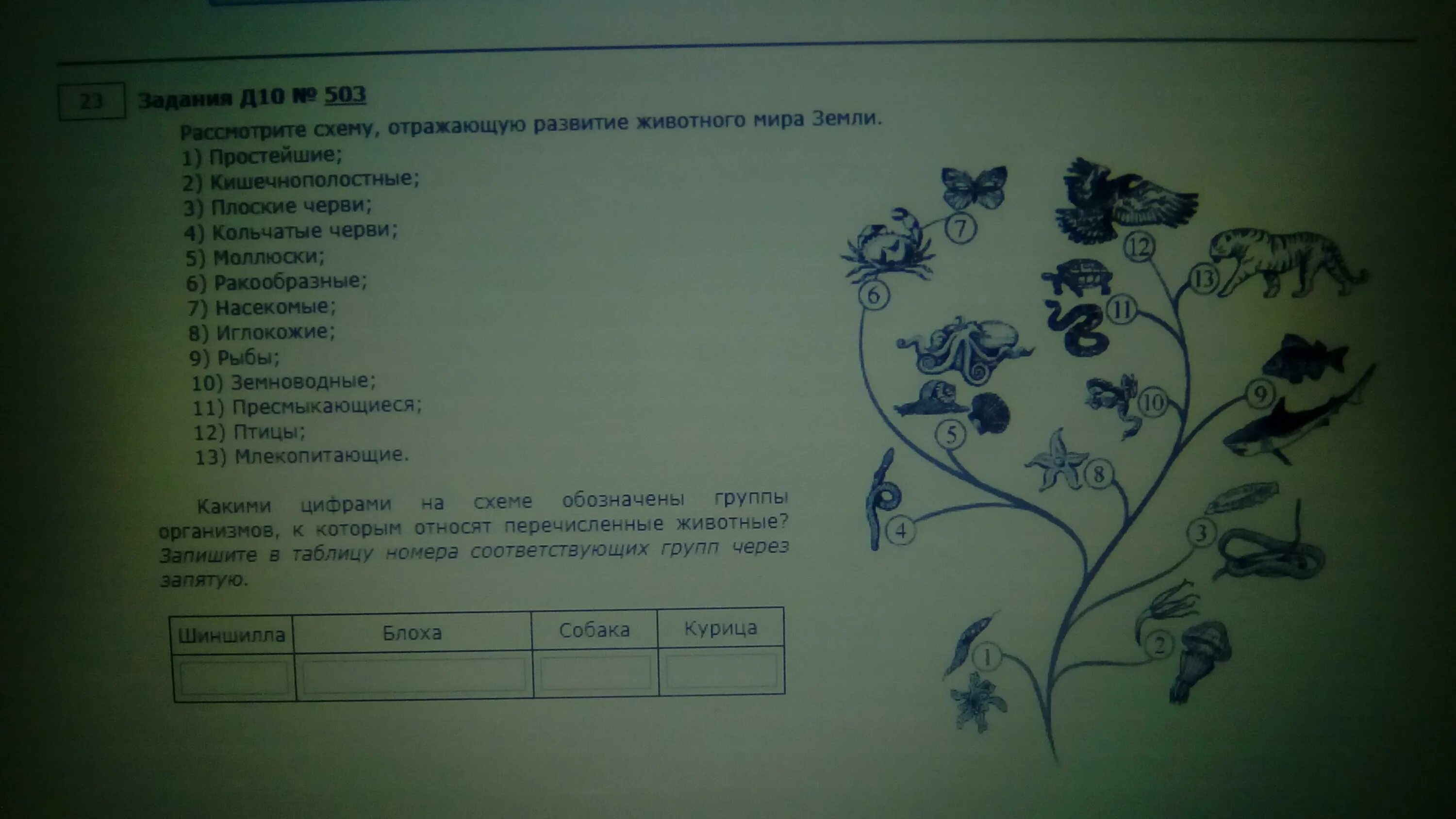 Уровни заданий. Проверка знаний биология. Анализ срезов знаний по биологии шаблон. Контрольная работа по рыбам 8 класс биология