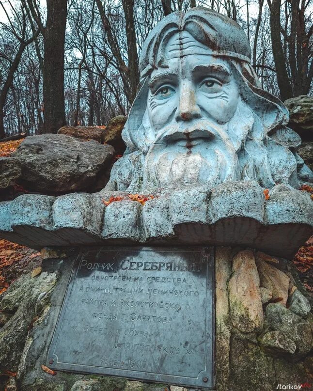 Саратовский родник. Родник серебряный Саратов. Родник голова Саратов. Богатырский Родник Саратов. Родник Черномор Саратов.