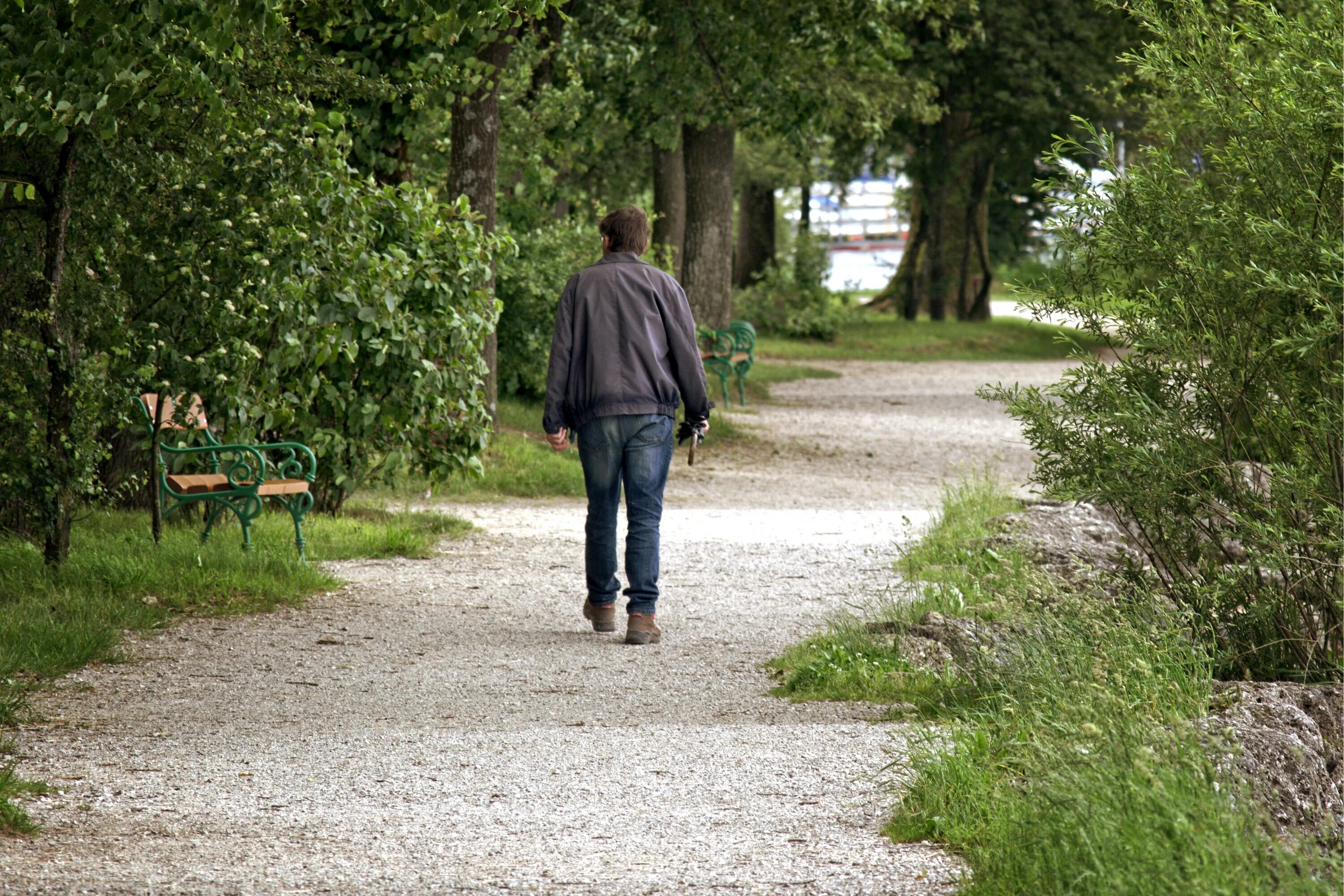 He walks in the park. Прогулка по парку. Люди на улице. Человек идет по парку. Гулять по парку.