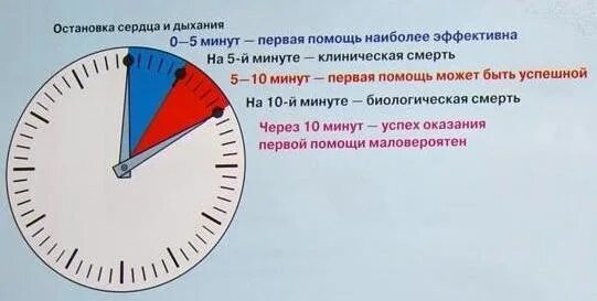 Сколько есть времени после остановки сердца. Остановка сердца на время. Сколько минут живёт мозг после остановки сердца. Максимальная остановка сердца время.