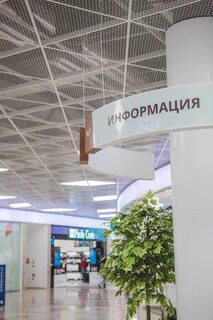 Пушкино парк магазины
