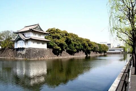 A dog lives in the imperial palace