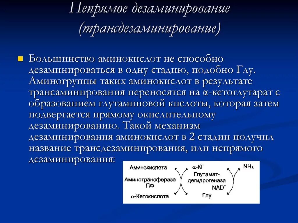 Ферменты дезаминирования. Непрямое окислительное дезаминирование аминокислот. Непрямое дезаминирование аминокислот. Непрямое окислительное дезаминирование аминокислот схема. Биологическая роль непрямого дезаминирования аминокислот.