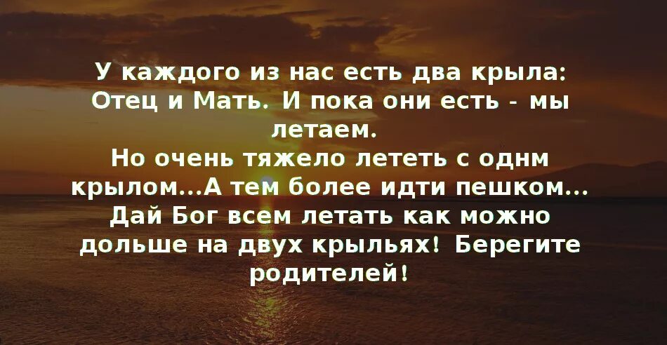 Цените папу. У каждого из нас есть 2 крыла. Цитаты про родителей. Родители 2 крыла стих. Два крыла отец и мать.