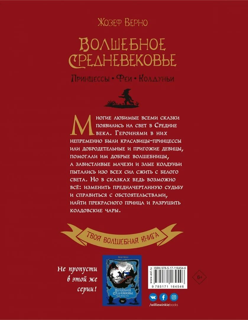 Верные книга отзывы. Волшебное средневековье. Что делали принцессы в средневековье детская книга.