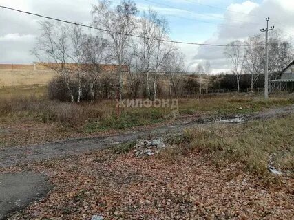 Земельный бердск