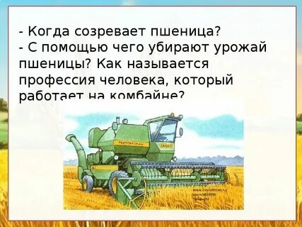 Хлеб убирают комбайнами подчеркните многозначные слова