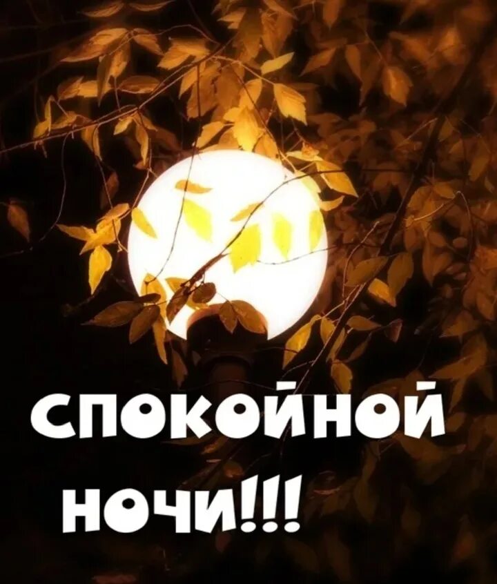 Доброй ночи красивые картинки осенней приятных снов. Доброй осенней ночи. Доброй осенней ночи. Спокойной но чс и осенние. Доброй осенней ночи.