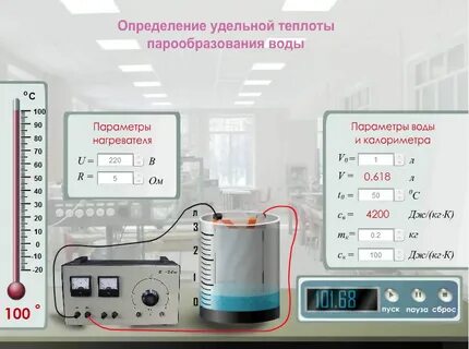 Лабораторные работы 2024