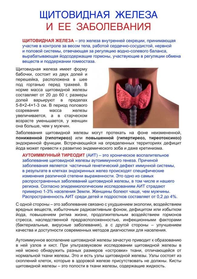 Признаки щитовидки у мужчин лечение