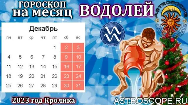 Гороскоп 2023 водолей женщина. Водолей 2023. Гороскоп на 2023 Водолей. Водолей в 2023 году. Знак зодиака Водолей 2023 год.