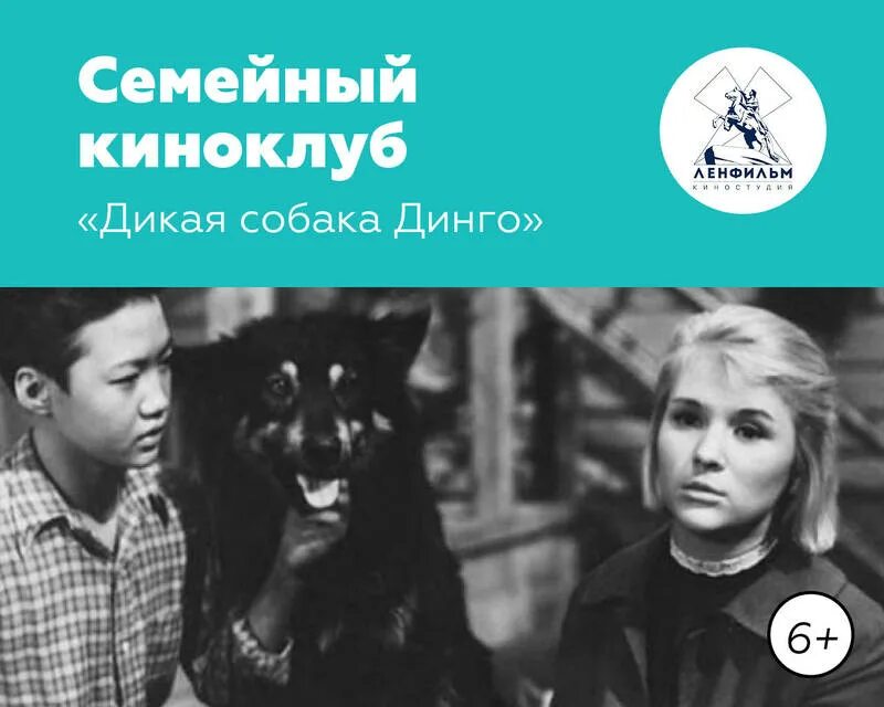 Тест по рассказу собака динго. Дикая собака Динго (1962). Дикая собака Динго (1962) афиша.