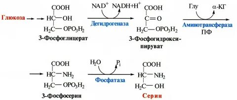 Синтез глицина