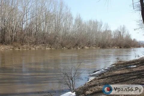 Уровень реки большой кинель сегодня