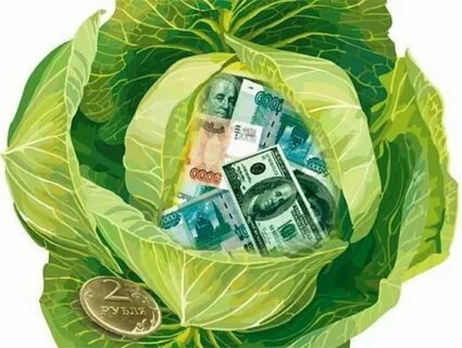 Капуста на день рождения