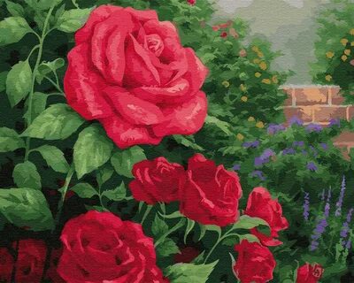 Красивые картины с розами