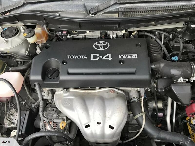 Тойота авенсис 2007 двигатели. Авенсис 2.4 двигатель. Двигатель Тойота Авенсис 2.0 d4 VVTI 1az-FSE. Двигатель Тойота 1az-Fe. Двигатель 1 az Тойота.