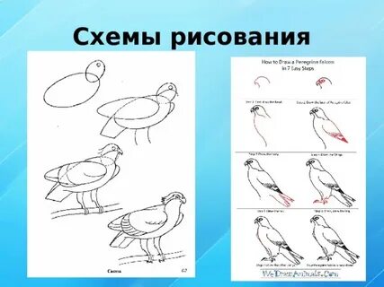 Схематические рисунки 2 класс