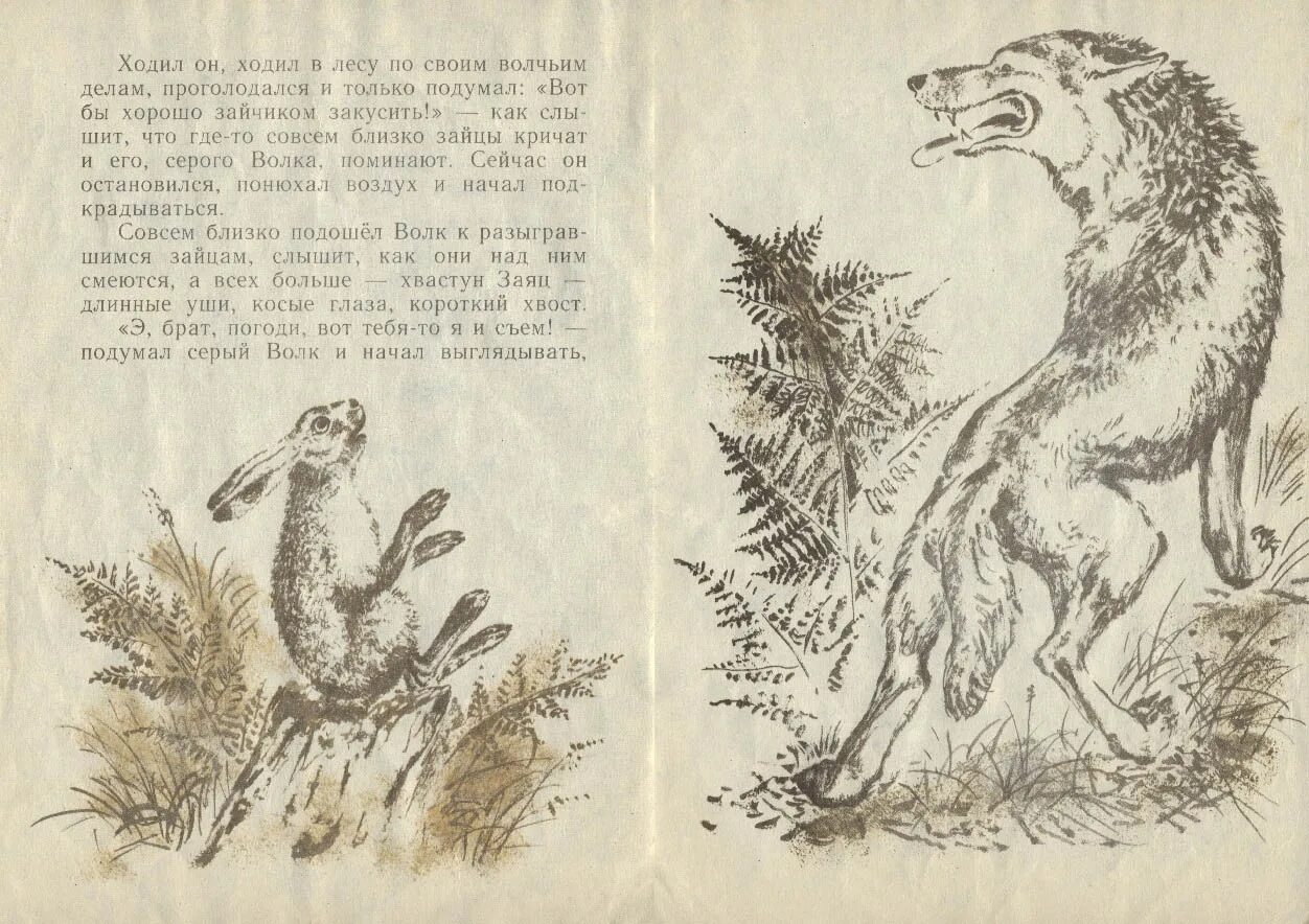 Характеристика волка мамин сибиряк сказка про храброго. Сказка про храброго зайца дмитрий мамин-сибиряк. Заголовок сказки мамина-сибиряка про зайца. Сказка про храброго зайца сибиряк. Мамин-сибиряк аленушкины сказки про храброго зайца.