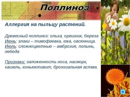 Аллергия на нарциссы