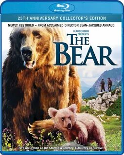 The bear watch