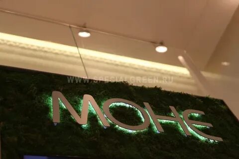 Моне икс