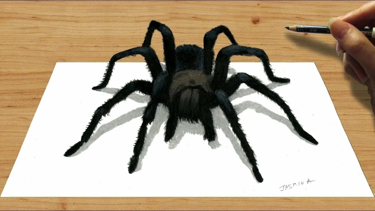 Tarántula 3D, dibujo a lápiz - Steemit