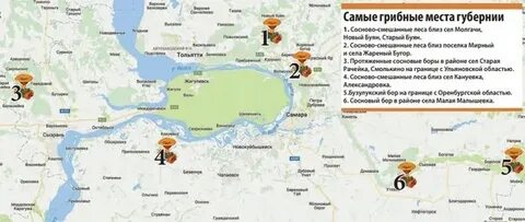 Грибная карта марий эл