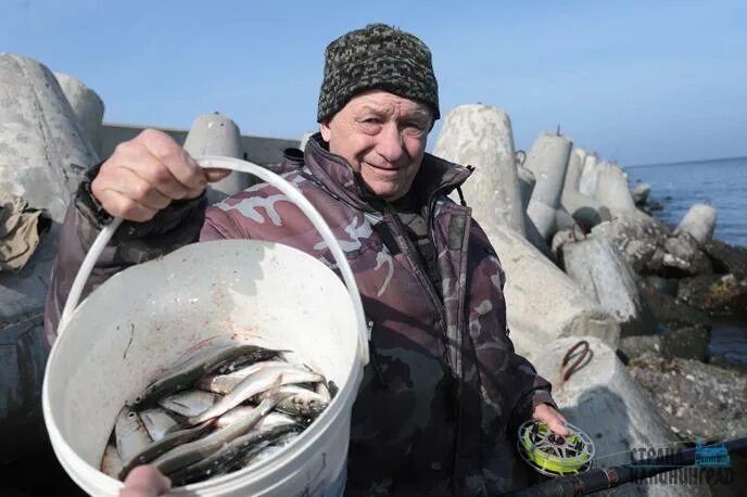 Ловля салаки. Ловля салаки в Балтийске. Рыбалка в Балтийске. Ловля салаки в Калининграде. День салаки в Балтийске.