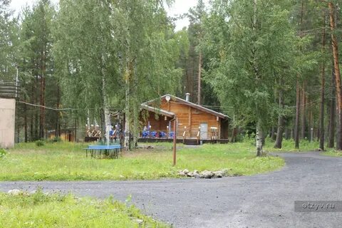 Отдых шишки омск