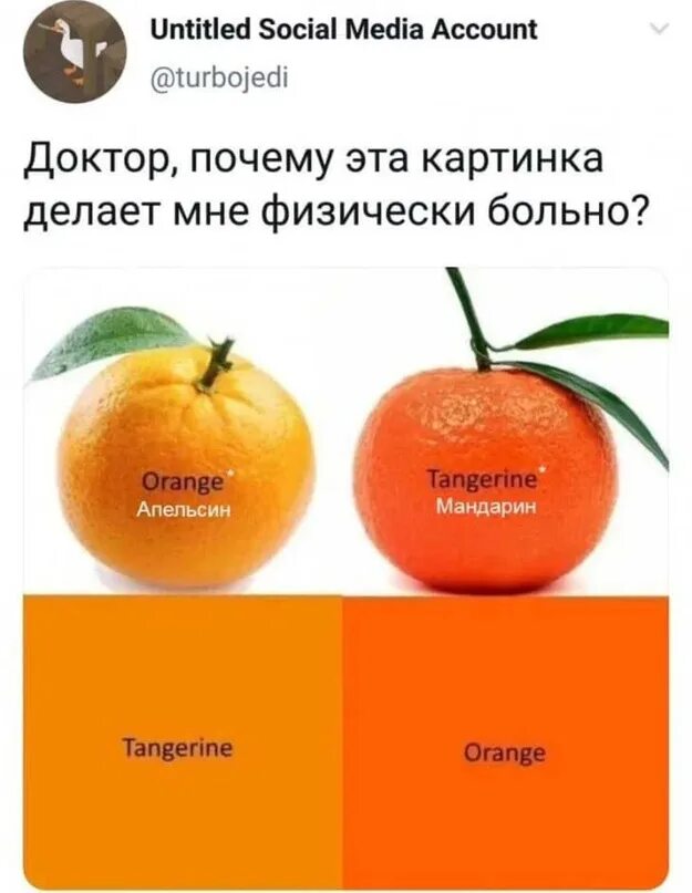 Почему апельсин становится кислым. Мандариновый и апельсиновый цвета. цвет мандарина и апельсина. апельсин мем. мандарин мем.
