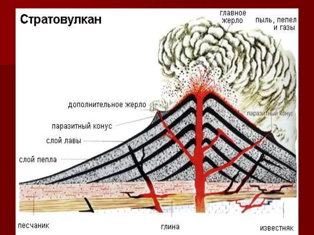 Термин который не относится к строению вулканов