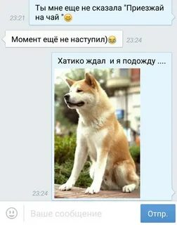 Сколько хатико ждал хозяина