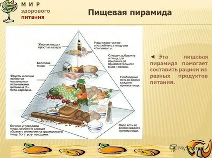 Пищевая пирамида 5 класс технология