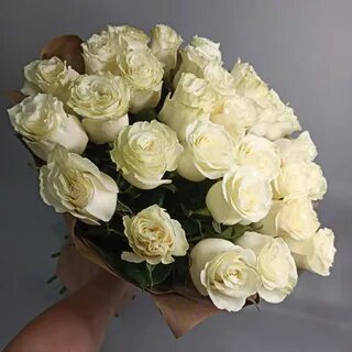 Розы красноярск