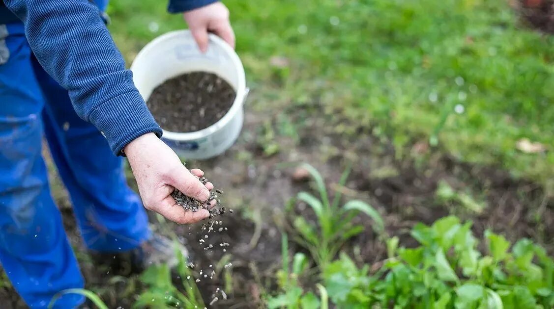 Удобрения. Подготовка почвы к посадке. Грунт с минеральными удобрениями. Подкормка грунте. Удобрение почвы.