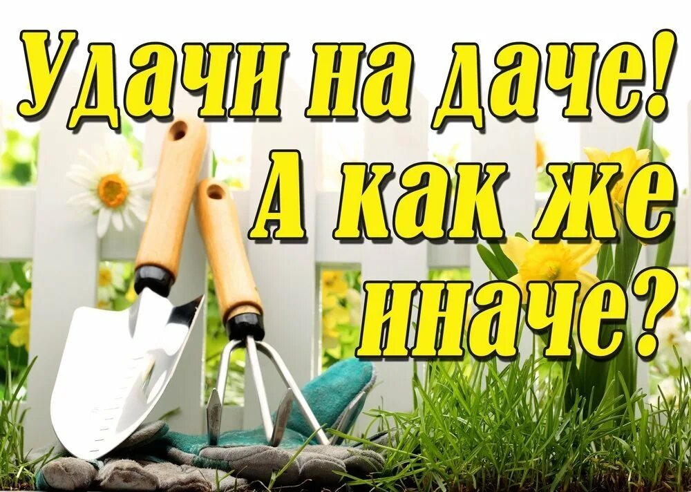 День дачника. День дачника в России. Открытка садоводу.