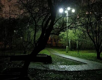 Садик ночью