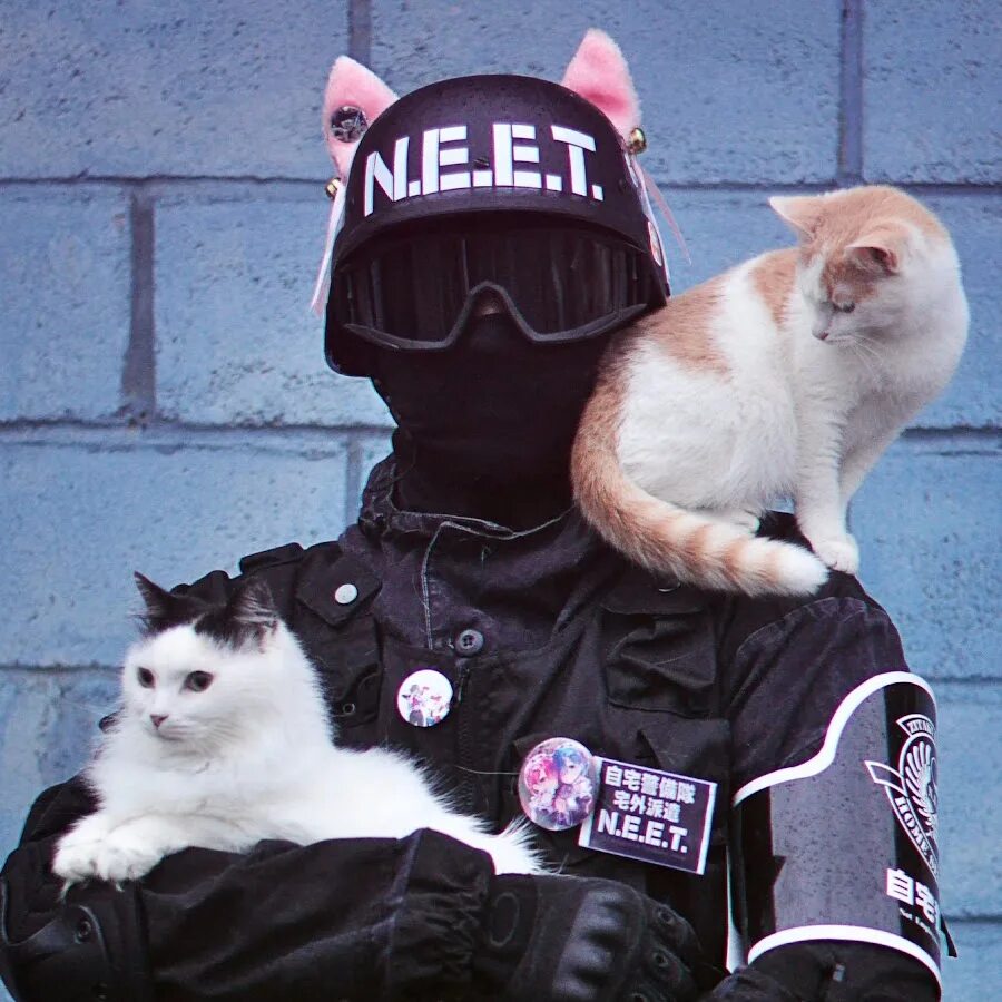 Крутые котики девочки